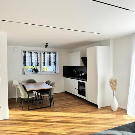 Neue! Schoene , Helle Familienfreundliche 3 דירה Kehl